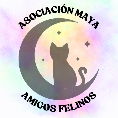 Maya Amigos Felinos